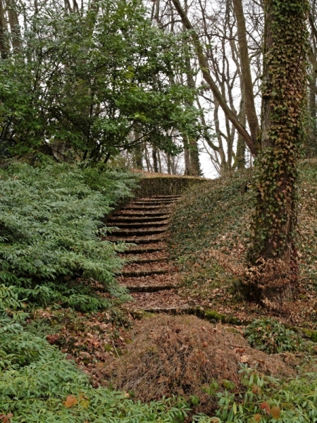 Escalier.jpg